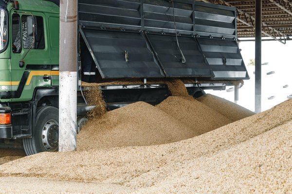 Réduisez vos factures avec une presse à pellet efficace